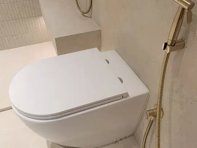 Finished powder room with brass fittings