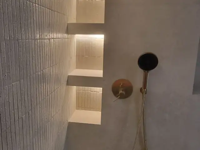 Walk-in shower with brass fixtures and tiled display niches