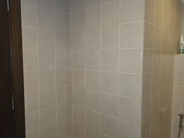 Original bathroom tiling before renovation