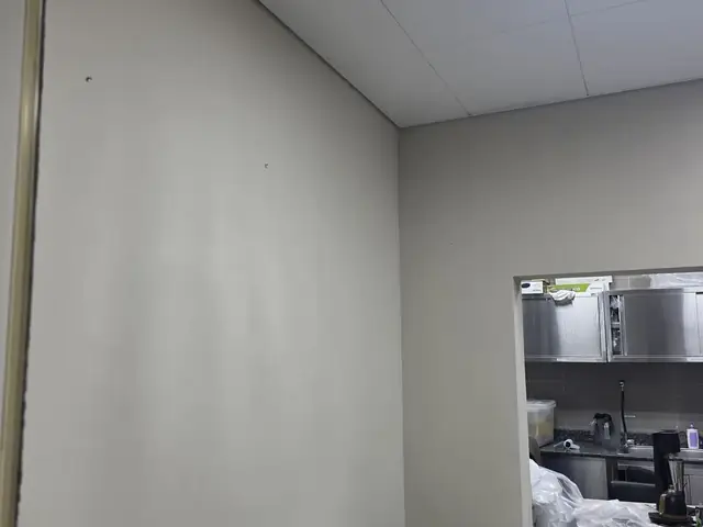 Ceiling and wall finishing work at café fit-out