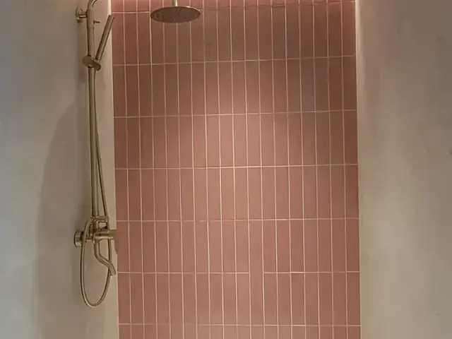 Shower with pink subway tile and brass rain shower fixture