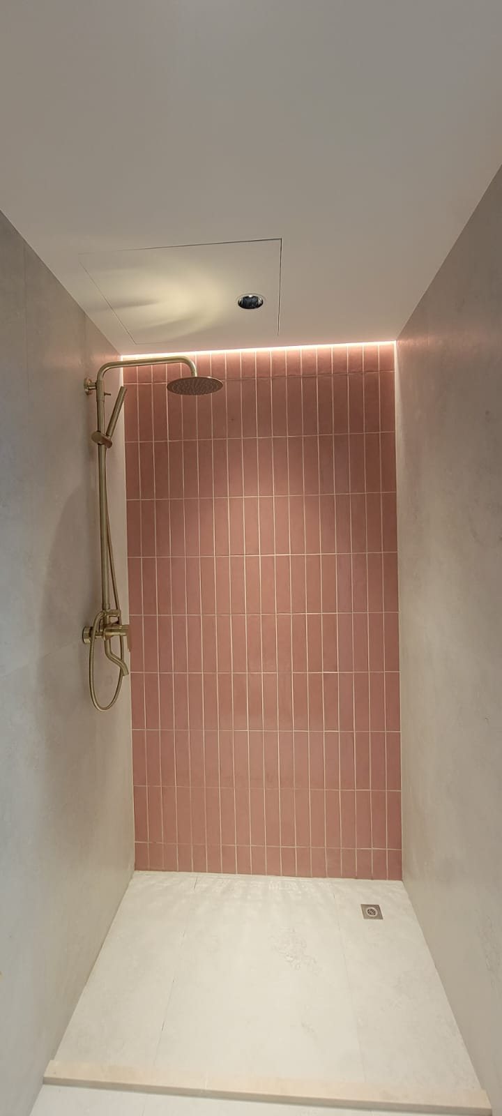 Shower with pink subway tile and brass rain shower fixture